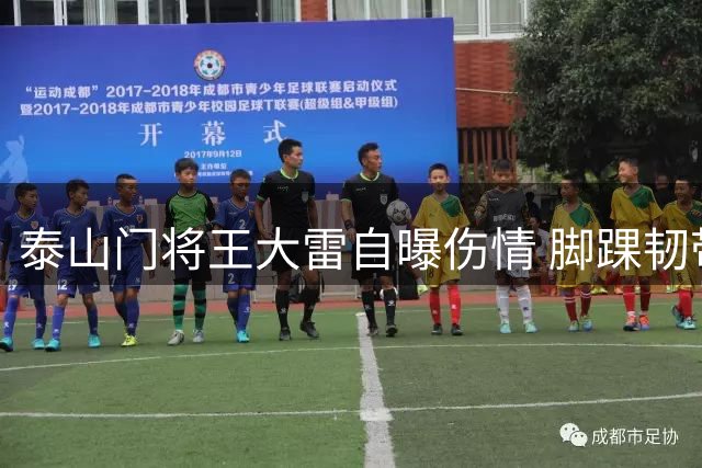 泰山门将王大雷自曝伤情 脚踝韧带撕裂接受康复治疗